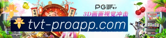 TVT体育荣誉